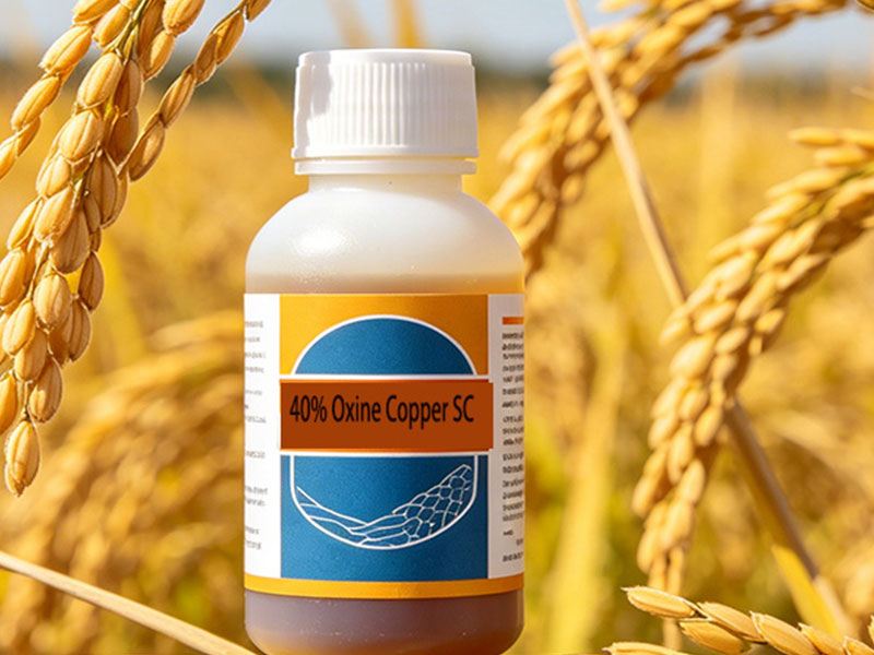 40% Oxine Copper Suspension Concentrate (SC)