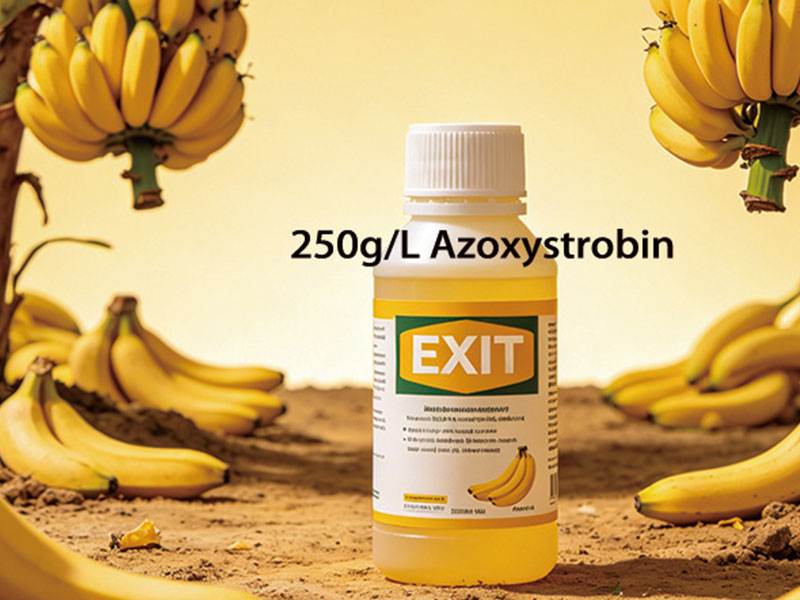250 г/л азоксистробина п/к