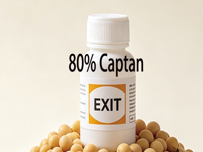 80% Captan Water Dispersible Granules (WDG)