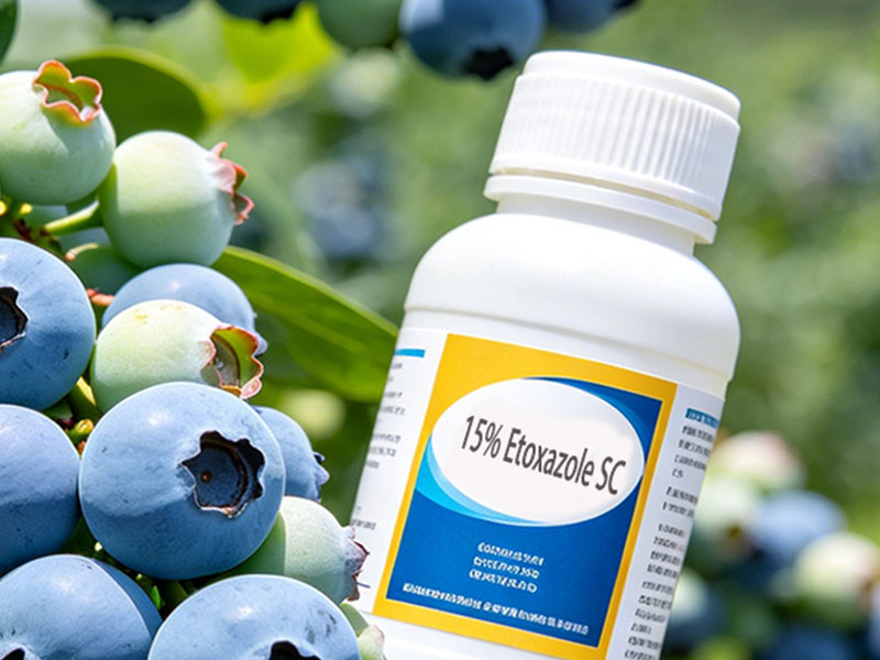 15% Etoxazole Suspension Concentrate (SC)