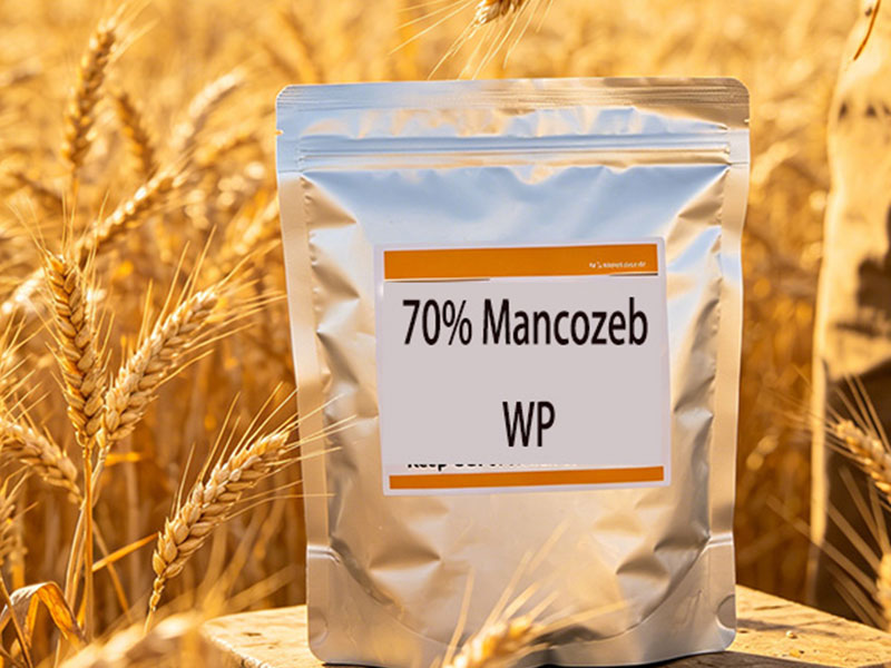 70% Mancozeb Wettable Powder (WP)