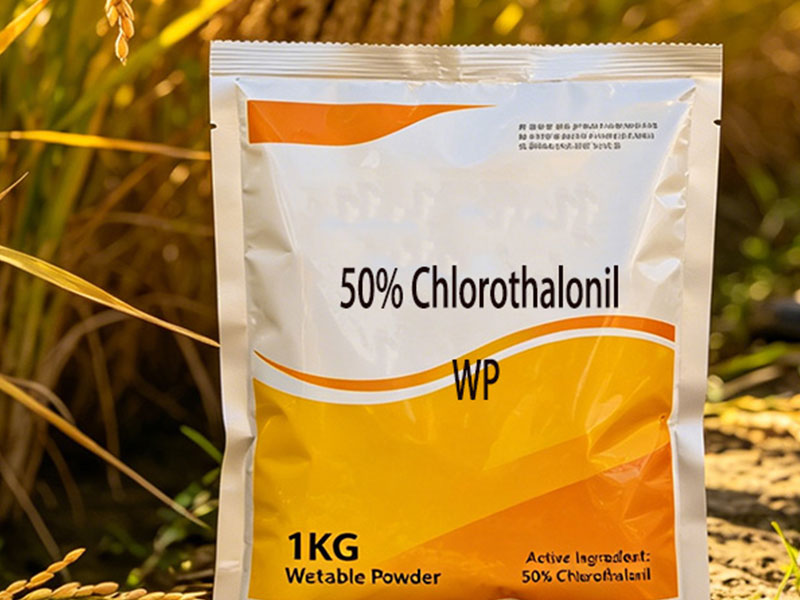 50% Chlorothalonil Wettable Powder (WP)