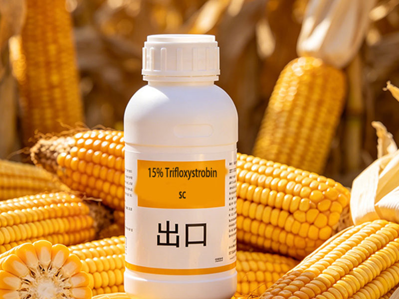 15% Trifloxystrobin Suspension Concentrate (SC)
