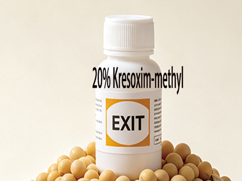 20% Kresoxim-methyl Emulsifiable Water (EW)