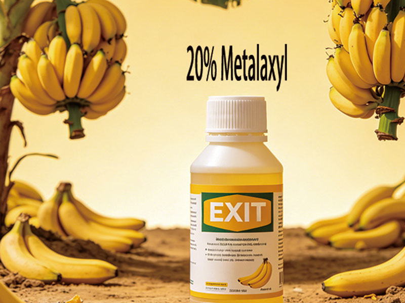 20% Metalaxyl Emulsifiable Concentrate (EC)