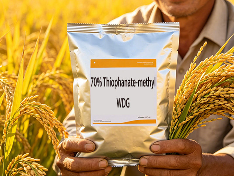 70% Thiophanate-methyl Water Dispersible Granules (WDG)