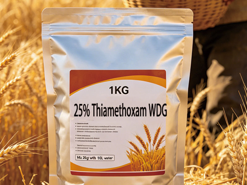 25% Thiamethoxam Water Dispersible Granules (WDG)