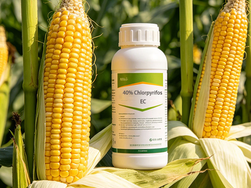 40% Chlorpyrifos Emulsifiable Concentrate (EC)