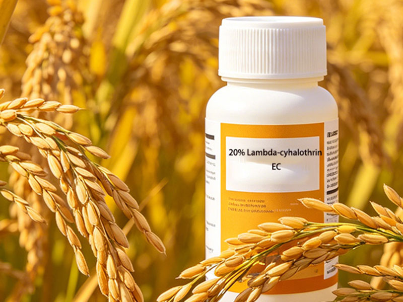 20% Lambda-cyhalothrin Emulsifiable Concentrate (EC)