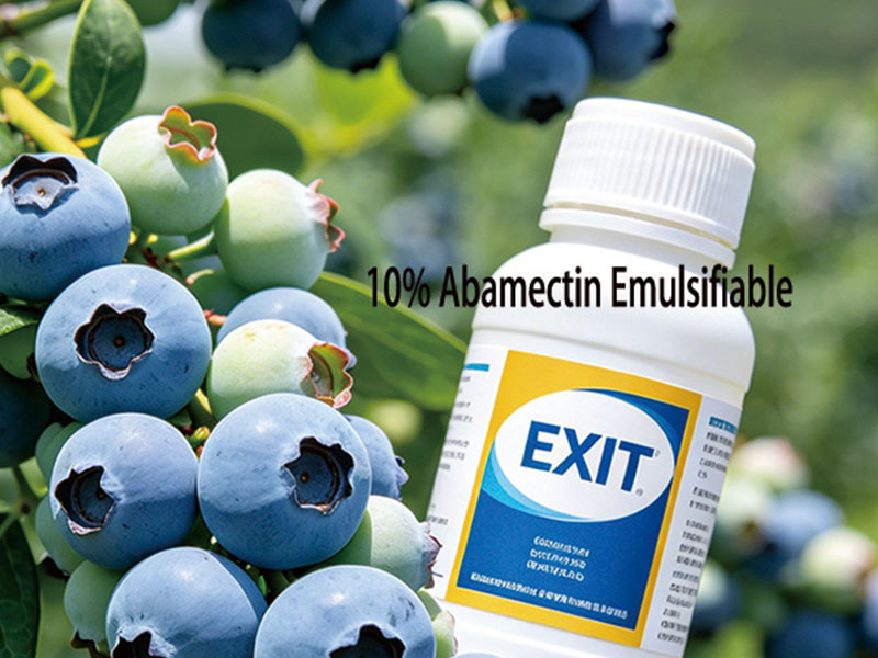 10% Abamectin Emulsifiable Concentrate (EC)