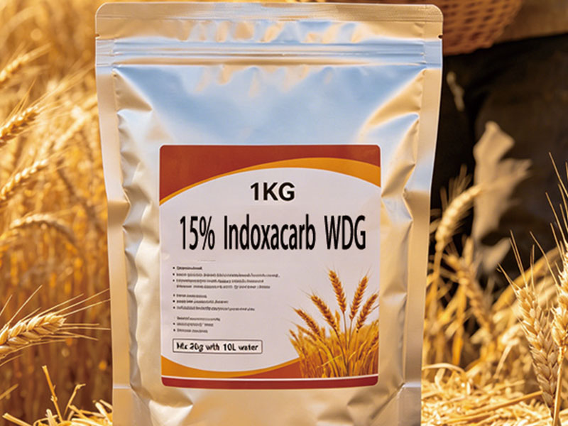 15% Indoxacarb Water Dispersible Granules (WDG)