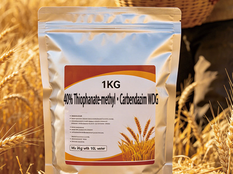 40% Thiophanate-methyl·Carbendazim Water Dispersible Granules (WDG)