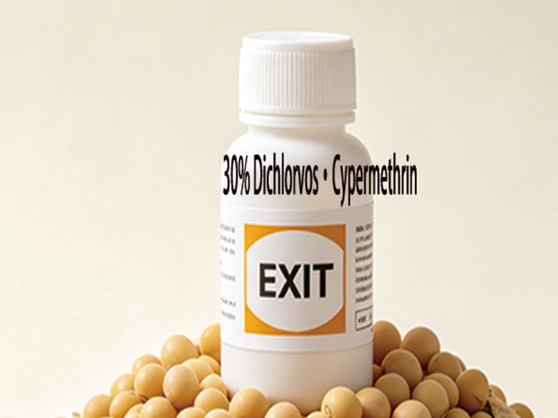 30% Dichlorvos·Cypermethrin Emulsifiable Concentrate (EC)