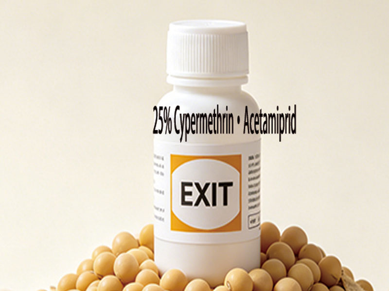 25% Cypermethrin·Acetamiprid Emulsifiable Concentrate (EC)
