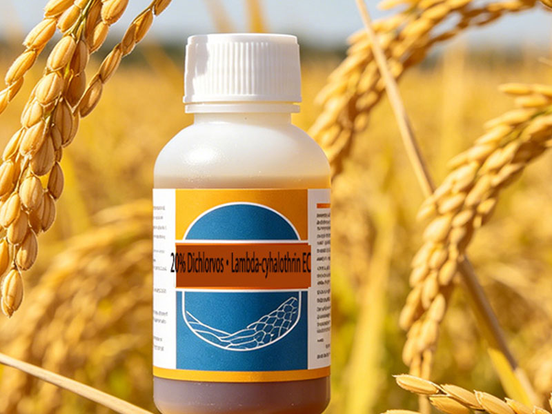 20% Dichlorvos·Lambda-cyhalothrin Emulsifiable Concentrate (EC)