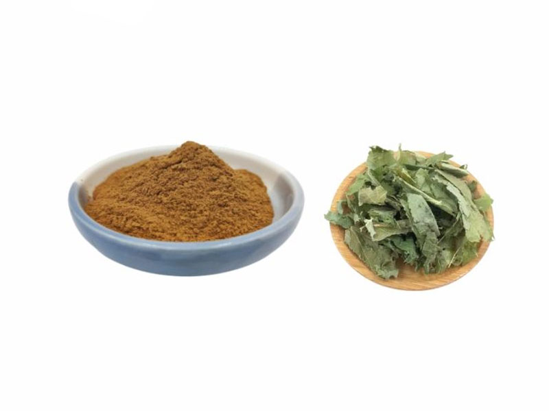 Epimedium Dry Extract