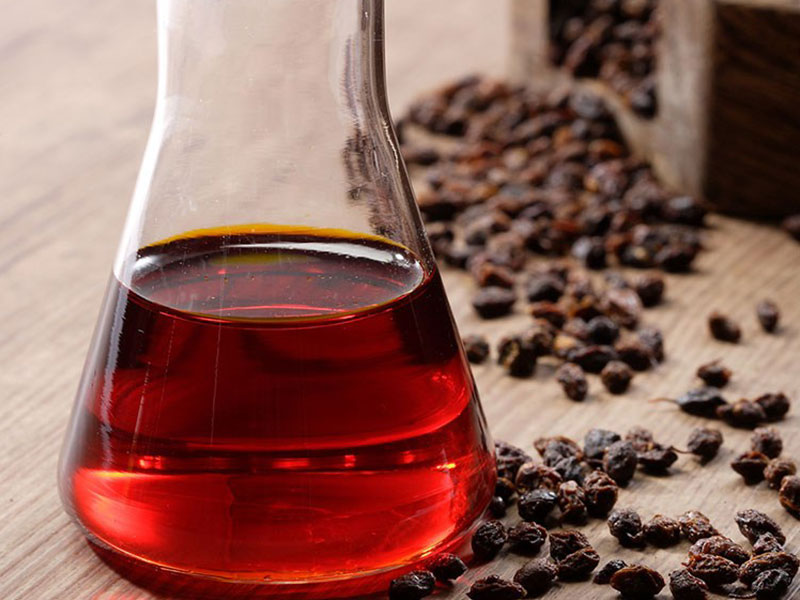 Sea Buckthorn Oil