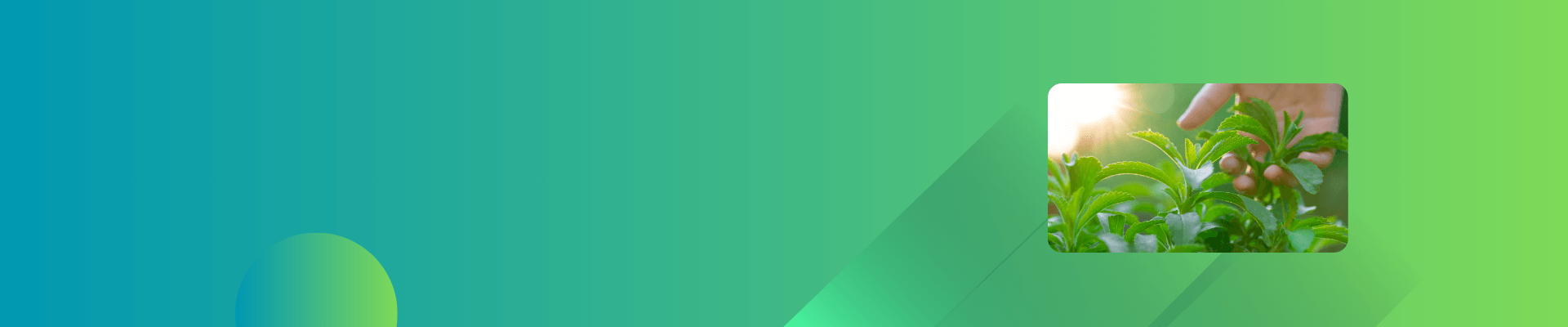 Page Header